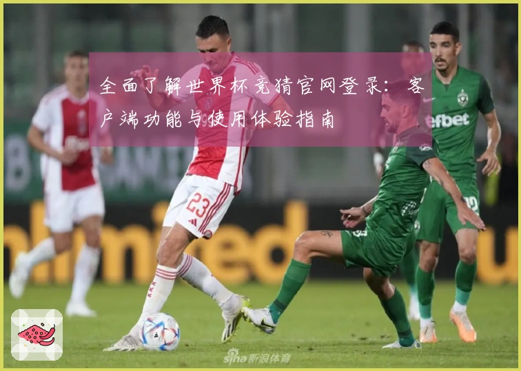 全面了解世界杯竞猜官网登录：客户端功能与使用体验指南