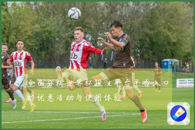 全面分析世界杯投注平台平台入口的优惠活动与使用体验