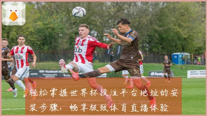 轻松掌握世界杯投注平台地址的安装步骤，畅享极致体育直播体验