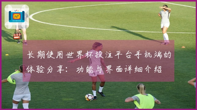 长期使用世界杯投注平台手机端的体验分享：功能与界面详细介绍