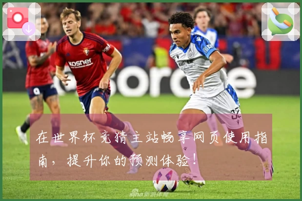 在世界杯竞猜主站畅享网页使用指南，提升你的预测体验！