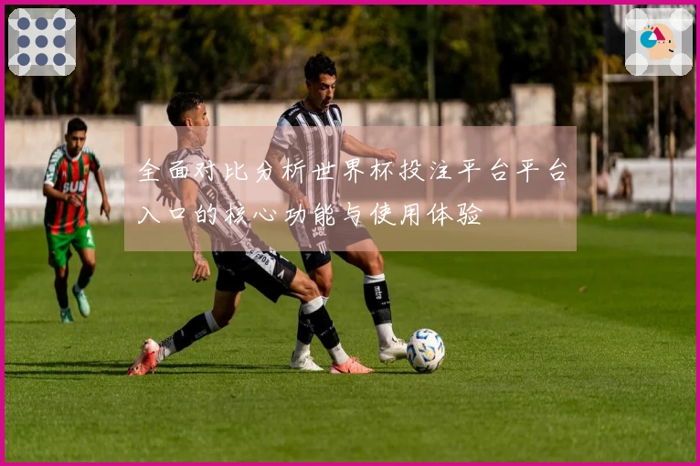 全面对比分析世界杯投注平台平台入口的核心功能与使用体验