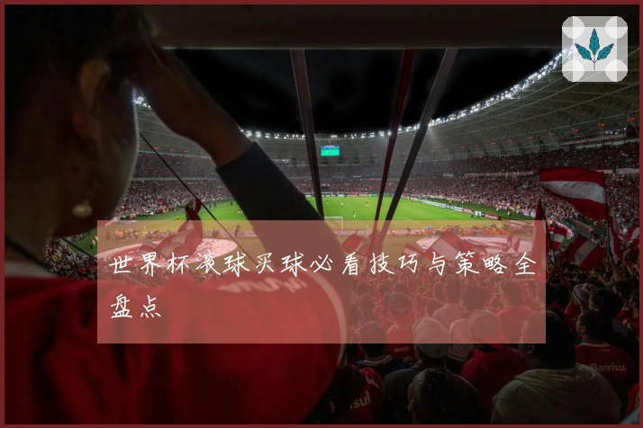 世界杯滚球买球必看技巧与策略全盘点