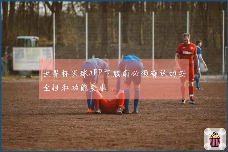 世界杯买球APP下载前必须确认的安全性和功能要求