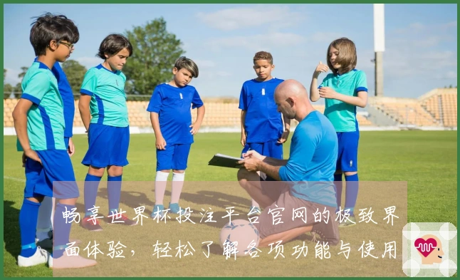 畅享世界杯投注平台官网的极致界面体验，轻松了解各项功能与使用指南