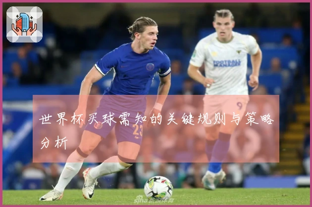 世界杯买球需知的关键规则与策略分析
